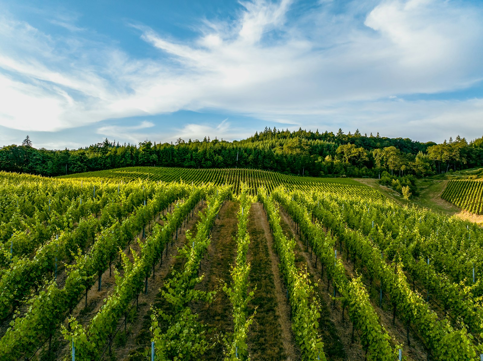 Corvallis, Oregon Real Estate