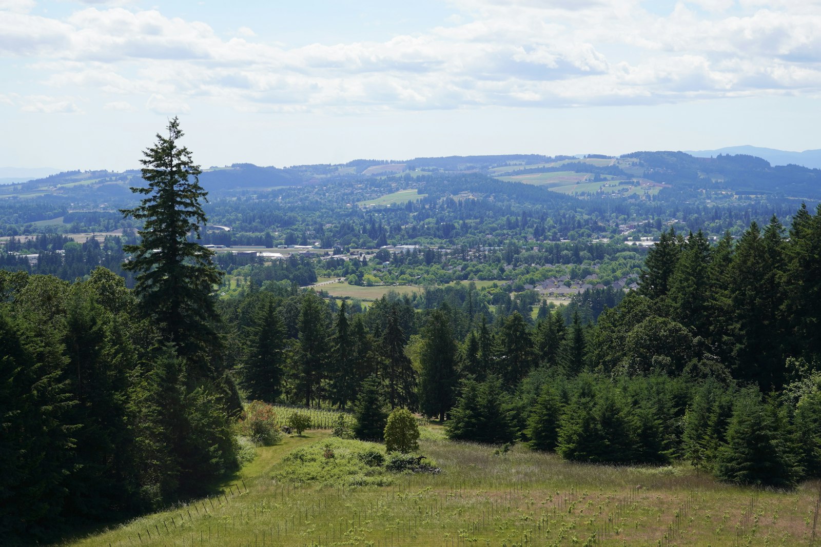 Salem, Oregon Real Estate