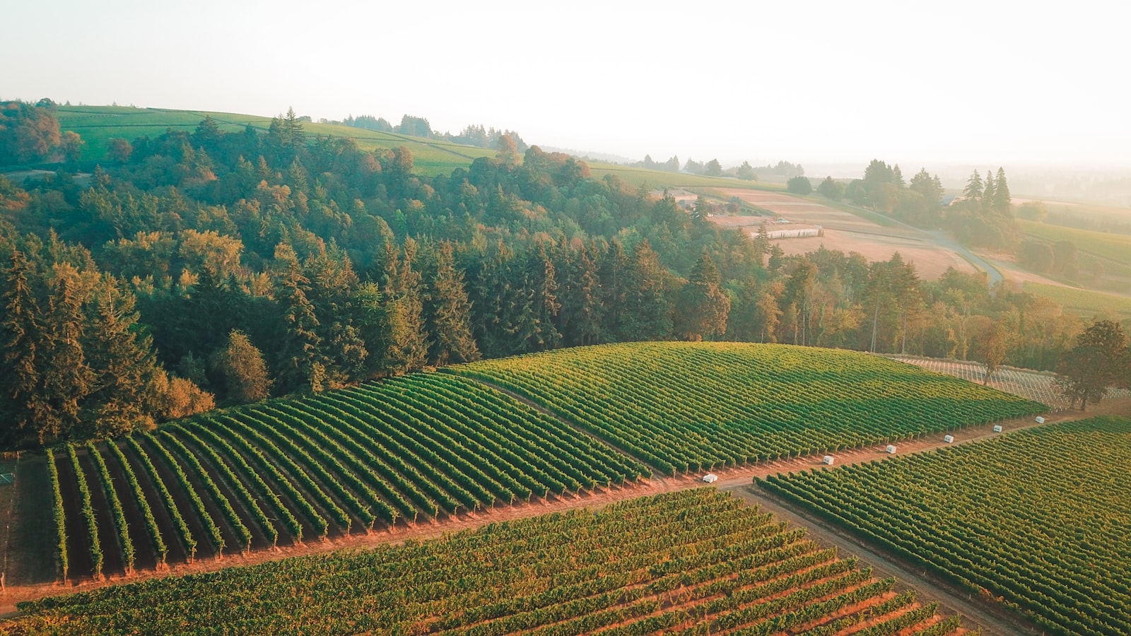 Life in the Willamette Valley